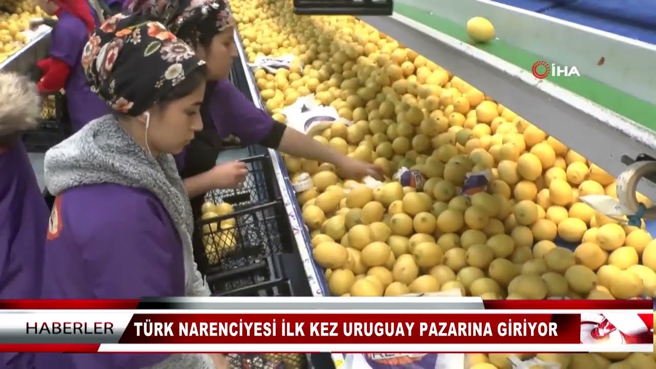 Bulduk Gıda, Türkiye'den Uruguay'a ilk narenciye ihraç eden firma oldu.
