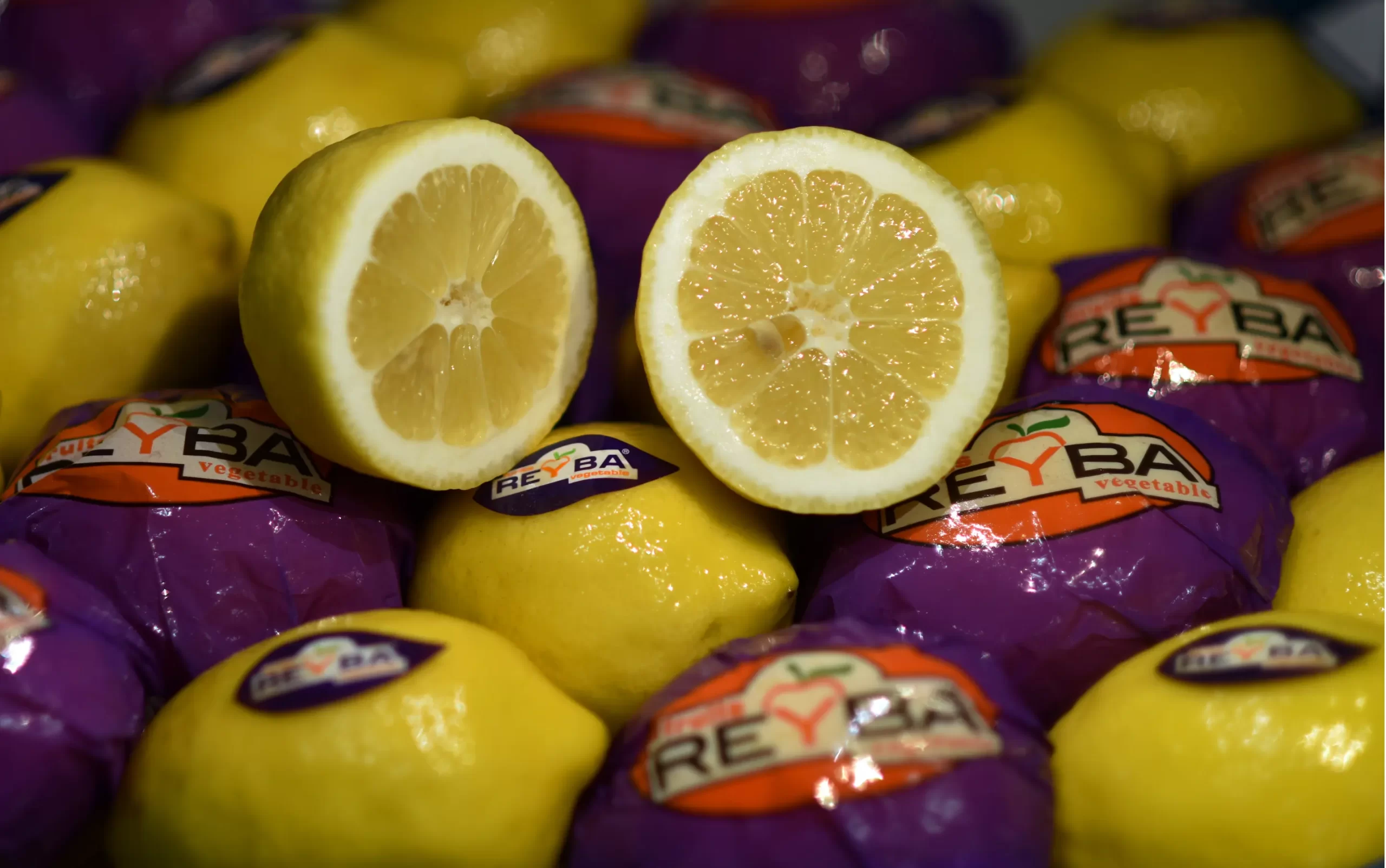 Bulduk_Gida_Lemon_Banner