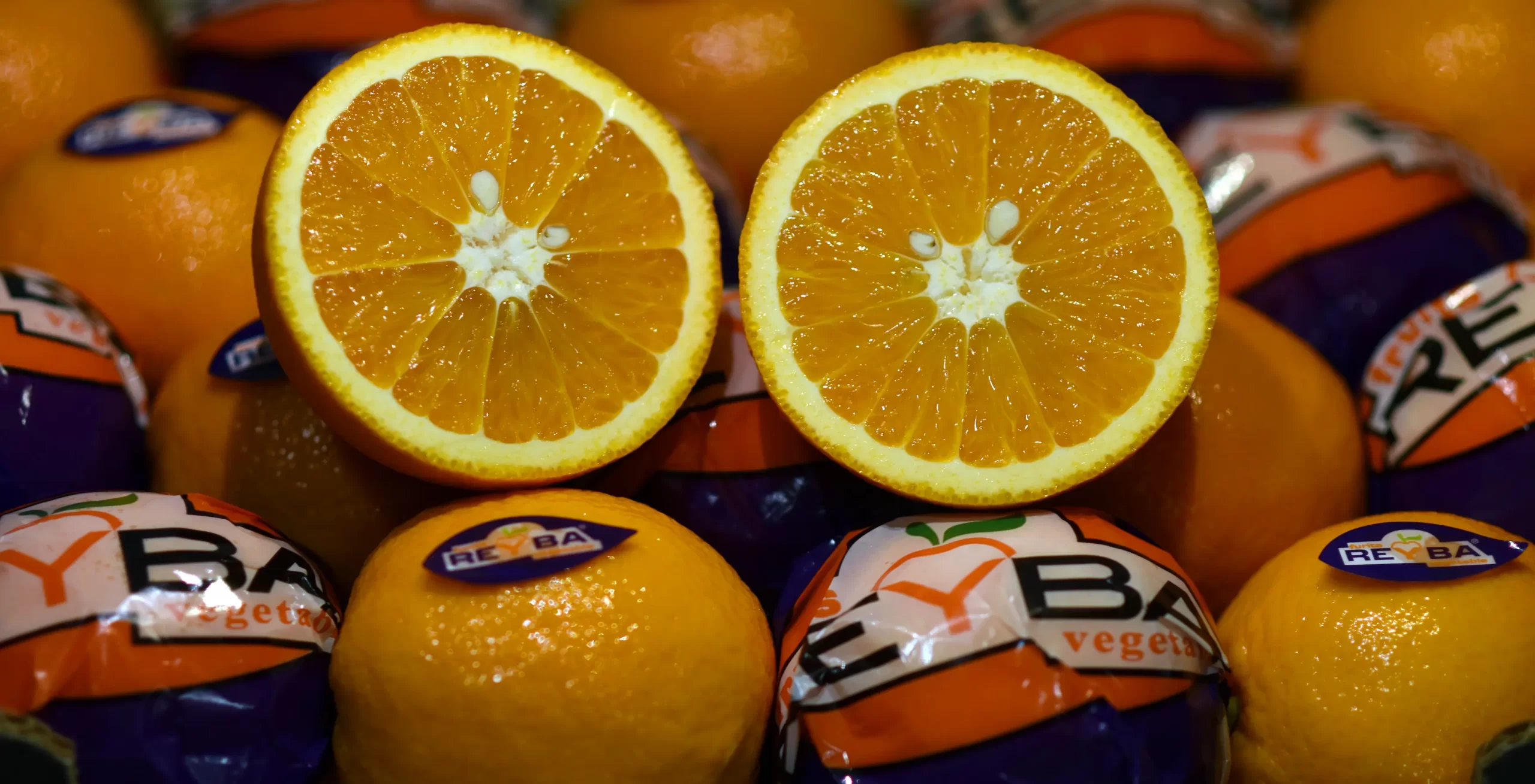 Bulduk_Gida_Orange_Banner_1